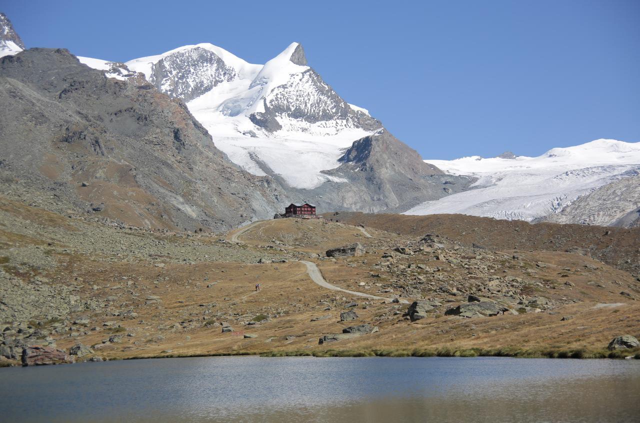 Gornergrat Dorf Hotel زيرمات المظهر الخارجي الصورة